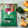 đất trồng sen đá, đất trồng sen đá soil mix, soil mix