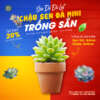 sen đá mini trồng trong chậu đất nung, sen đá trồng chậu đất nung