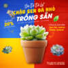 sen đá trồng đất nung, sen đá nhỏ trồng chậu đất nung