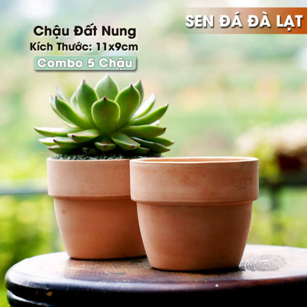 chậu đất nung 11x9cm, chậu 11x9cm