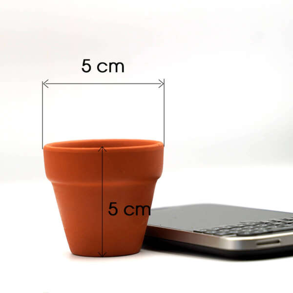 chậu đất nung 5x5cm
