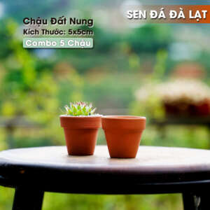 chậu đất nung, chậu đất nung 5x5cm