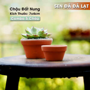 chậu đất nung 7x4cm, chậu gốm đất nung
