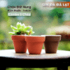 chậu đất nung 7x6cm