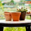 chậu đất nung 8x7cm, chậu gốm đất nung, chậu sen đá