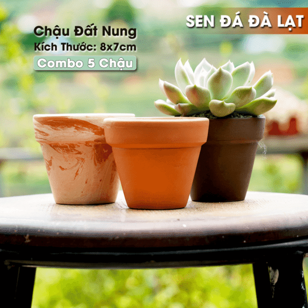 chậu đất nung 8x7cm, chậu gốm đất nung, chậu sen đá