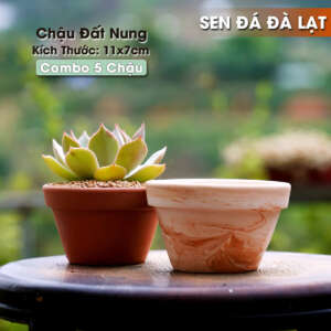chậu đất nung 11x7cm, chậu gốm đất nung