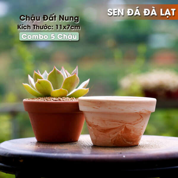 chậu đất nung 11x7cm, chậu gốm đất nung