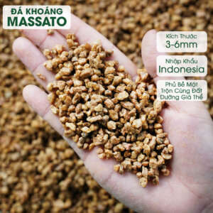 đá masato, đá masato trồng sen đá