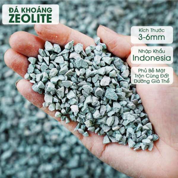 đá zeolite