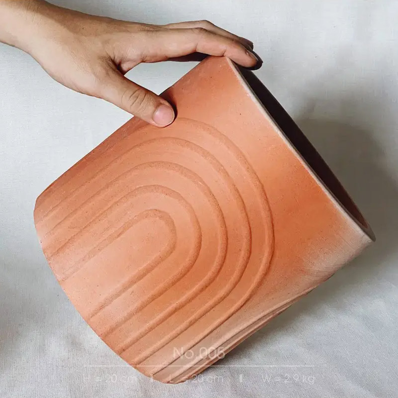 chau-dat-nung-20×20-3 sen đá, sen đá đà lạt