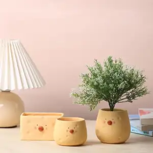 sen đá, sen đá đà lạt