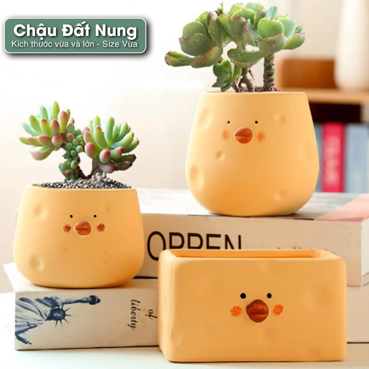 chau-dat-nung-de-ban chậu đất nung để bàn