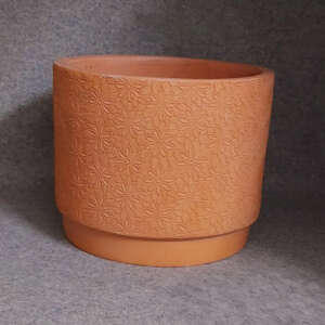 sen đá, sen đá đà lạt