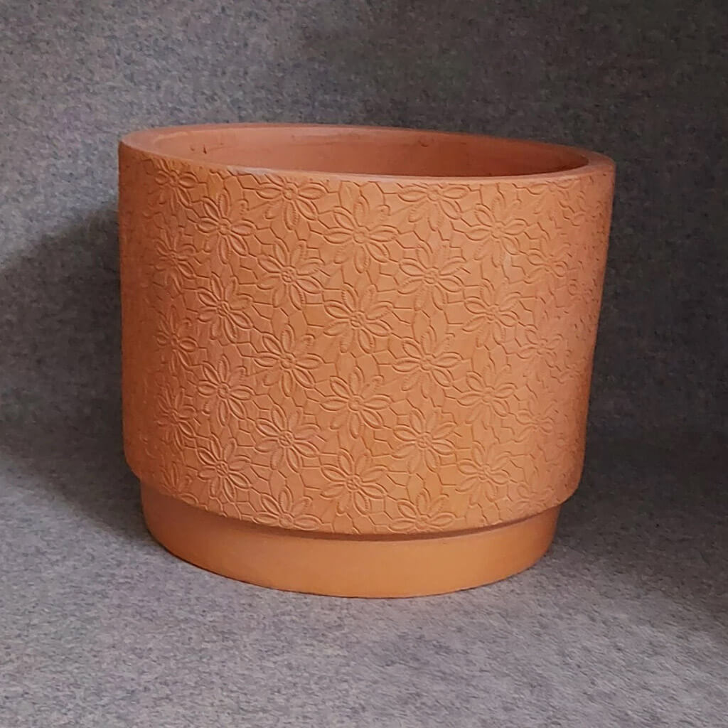 chau-dat-nung-hoa-cuc-1 sen đá, sen đá đà lạt