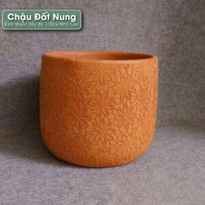 chậu đất nung hoa cúc