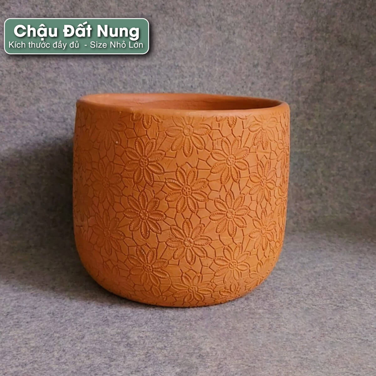 chau-dat-nung-hoa-cuc chậu đất nung hoa cúc