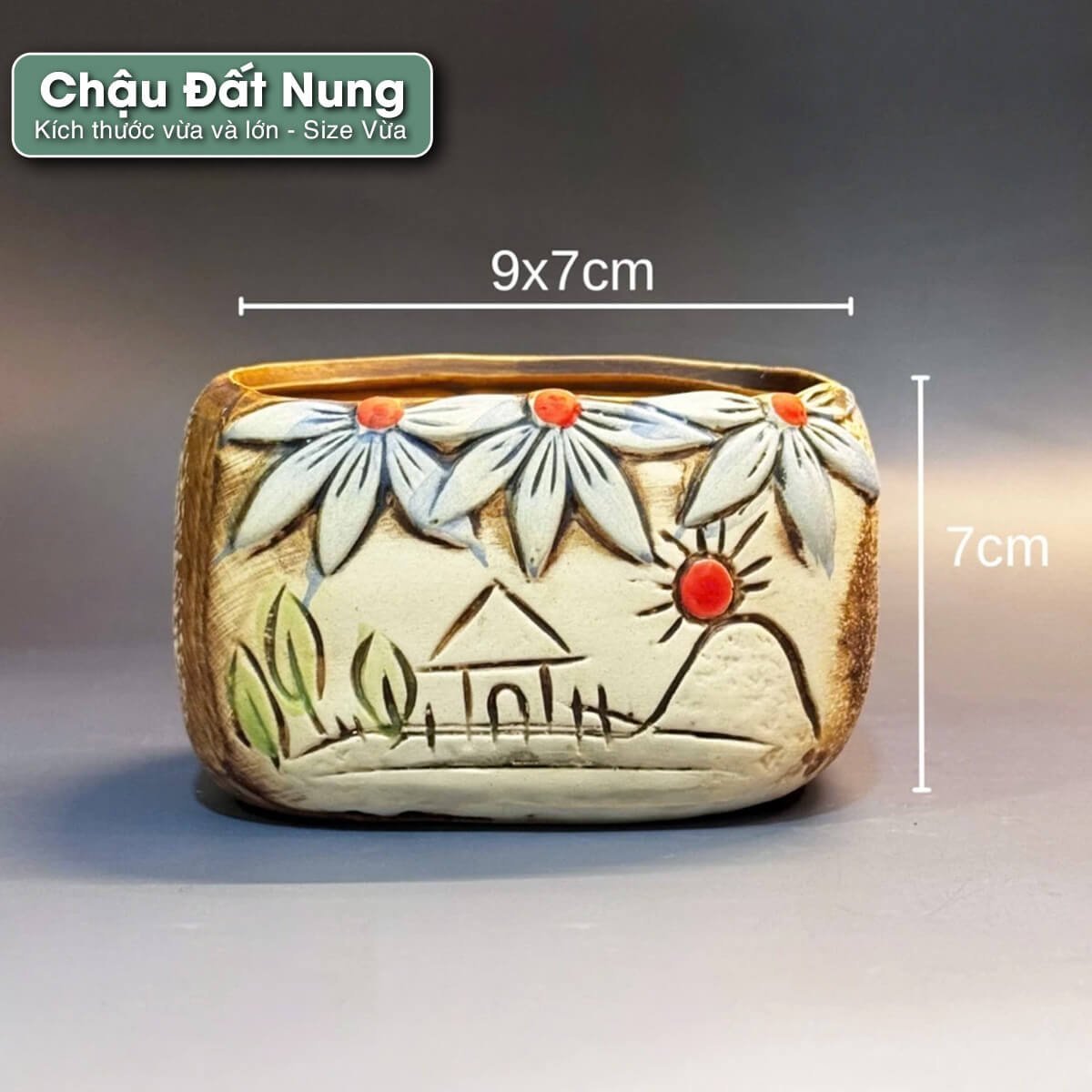 chau-dat-nung-nhieu-kieu chậu đất nung nhiều kiểu