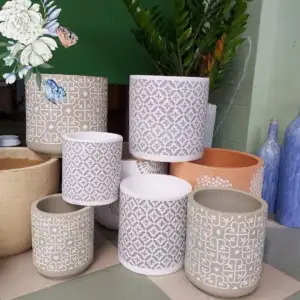 sen đá, sen đá đà lạt