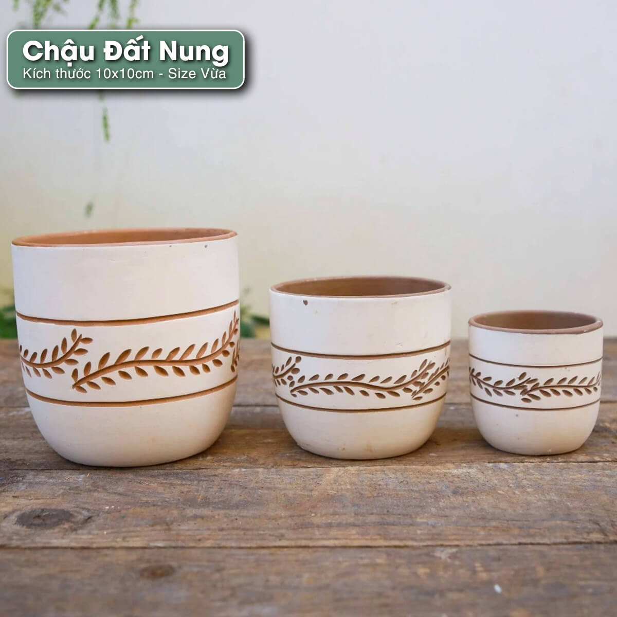 chau-dat-nung-vintage chậu đất nung vintage