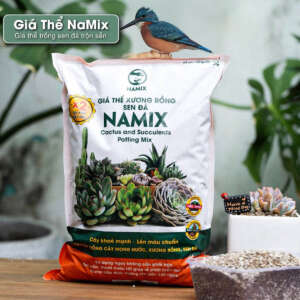 giá thể trồng sen đá namix, giá thể namix