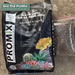giá thể trồng sen đá promix, giá thể trồng sen đá, giá thể promix