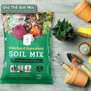 giá thể soil mix, giá thể trồng sen đá soil mix