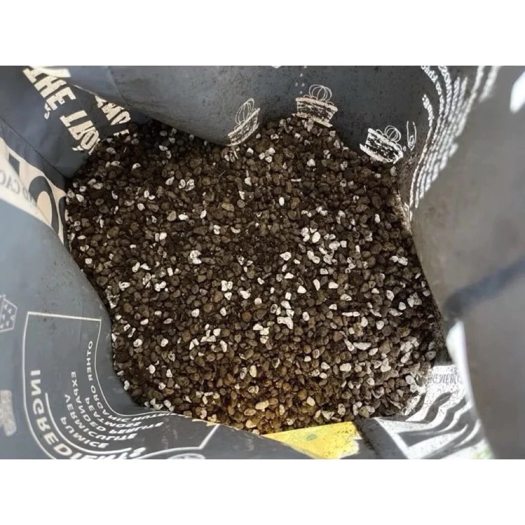 giá thể trồng sen đá promix