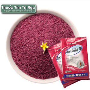 thuốc tím cho sen đá