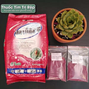 thuốc tím, thuốc tím cho sen đá