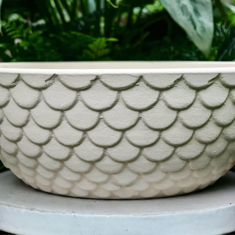 to-dat-nung-vay-ca-18×6,5cm-1 sen đá, sen đá đà lạt