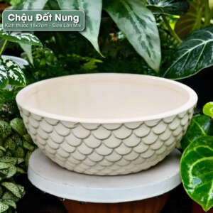 chậu đất nung vảy cá 18x7cm