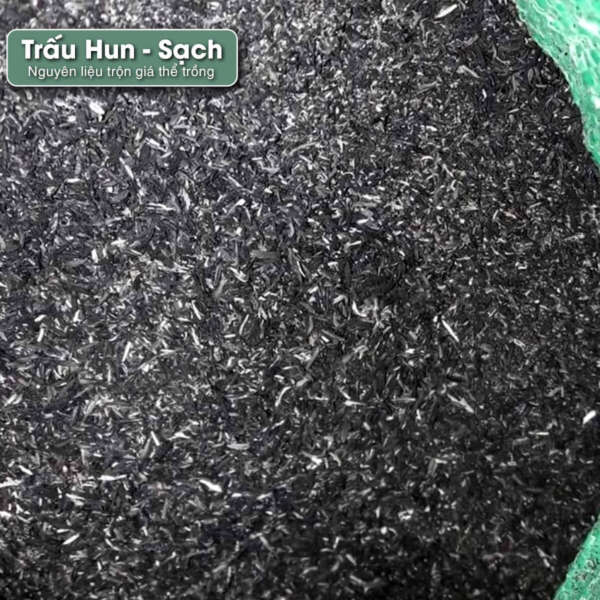 sen đá, sen đá đà lạt