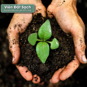 đất sạch, viên nén đất sạch