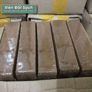 đất sạch, viên nén đất sạch