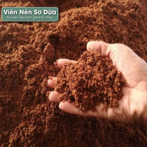 viên nén sơ dừa đã xữ lý
