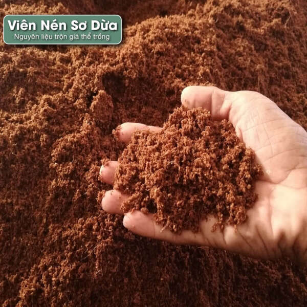 viên nén sơ dừa đã xữ lý