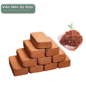 viên nén sơ dừa, viên nén xơ dừa