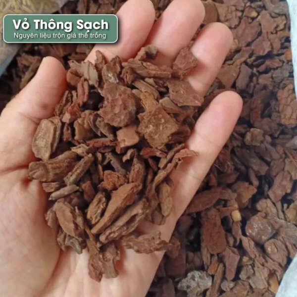 vỏ thông trộn giá thể