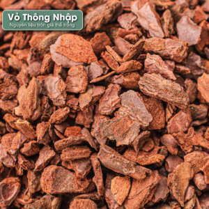 vỏ thông pinas bark