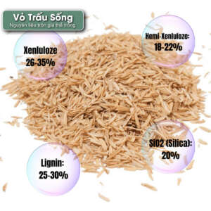 sen đá, sen đá đà lạt