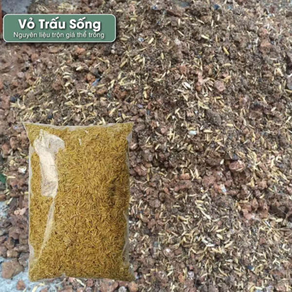 vỏ trấu sống, vỏ trấu