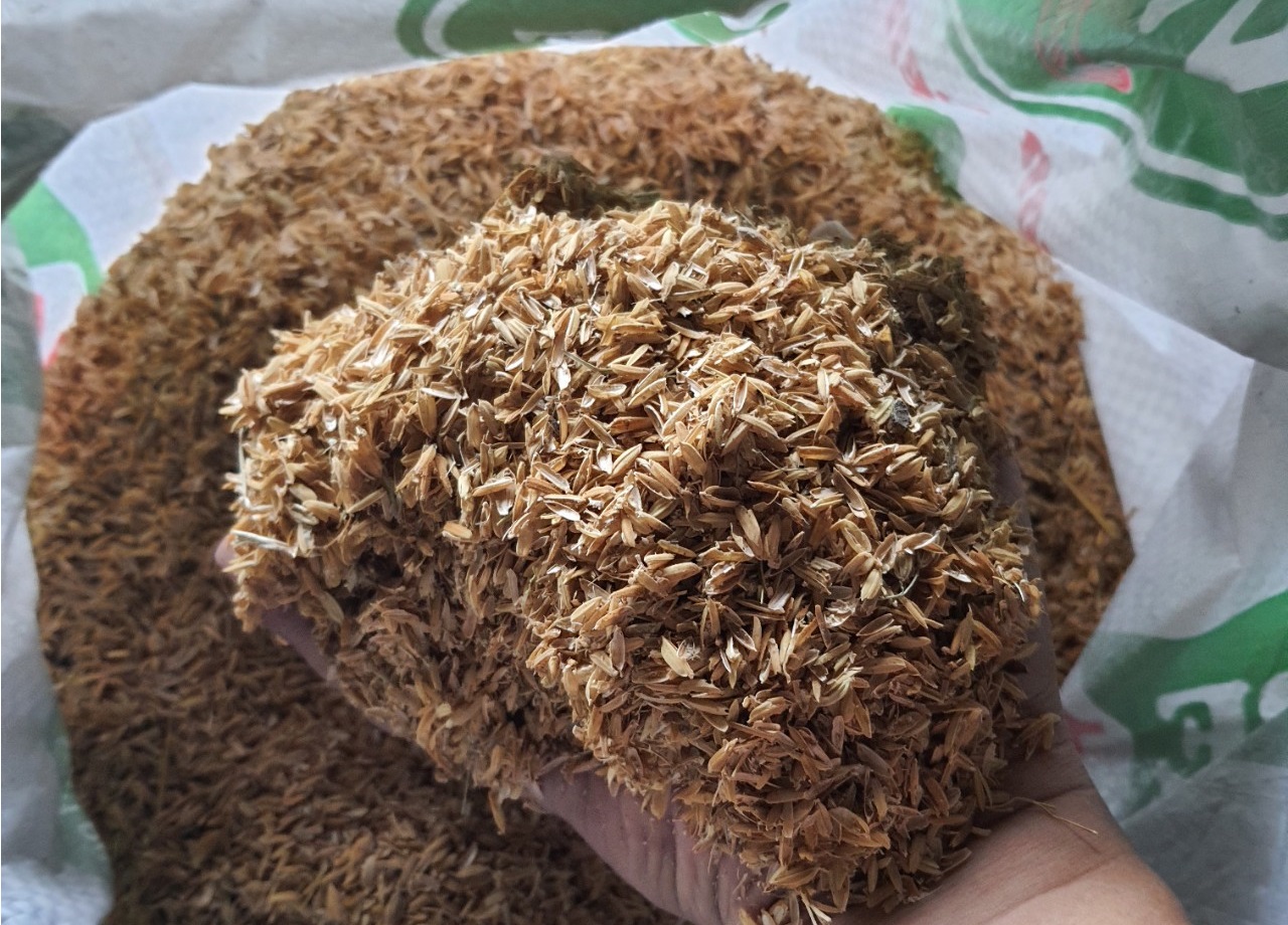 Vỏ Trấu