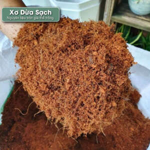 xơ dừa trồng cây