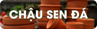 chậu đất nung, chậu sen đá