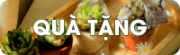 quà tặng sen đá, sen đá làm quà